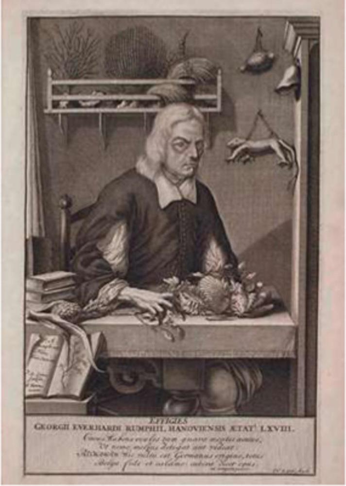 Portret van Rumphius, in 1696 door zijn zoon getekend ter gelegenheid van de verjaardag van zijn vader en geplaatst in D'Amboinsche Rariteitkamer.