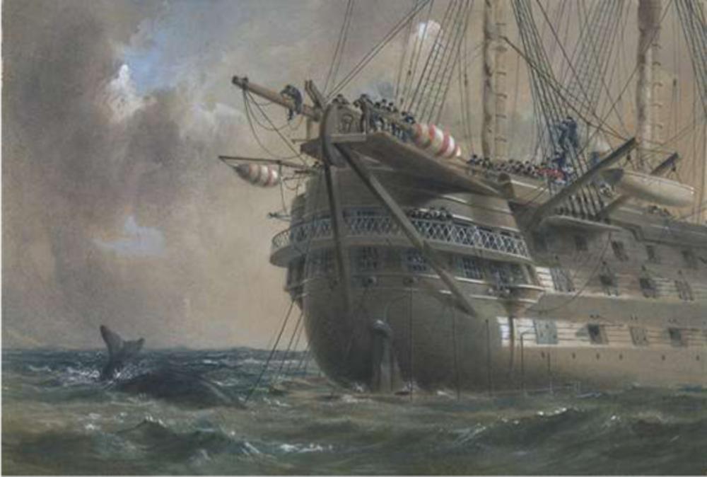 Bij het leggen van de kabel werd de bemanning van de HMS Agamemnon af en toe geconfronteerd met onvoorziene obstakels, zoals een walvis.