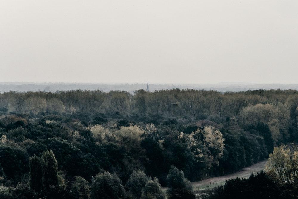 De kerktoren van Schoten is nog net zichtbaar in de bosrijke omgeving nabij Antwerpen.