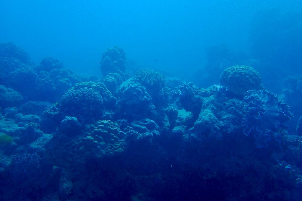 Het Great Barrier Reef.