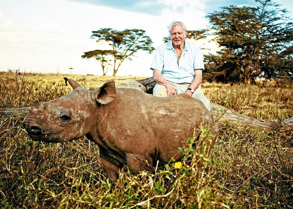 David Attenborough: 'Als we de natuur beter zouden kennen, zouden we voorzichtiger met haar omspringen.'