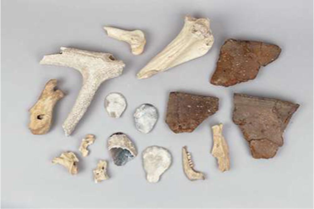 Afval van een feest. Been, hertshoorn, aardewerk en silex, 3760-3700 v.Chr. Coneybury. (The Salisbury Museum/© Ben Lawton)