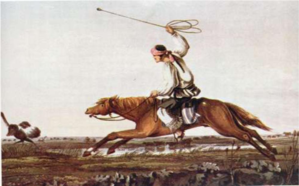 Darwin was gefascineerd door de jachtmethode van de gaucho's in Zuid-Amerika. (Uit het besproken boek)