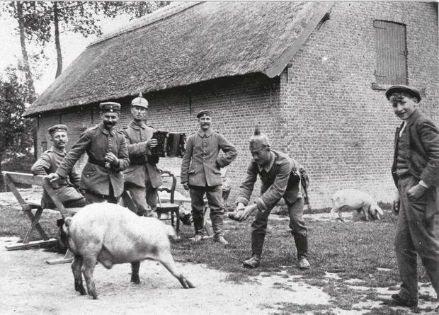 Varkens waren tijdens de oorlog zeer gegeerd door het Duitse leger. Op een hoeve - wellicht gaat het om de Spreeuwenburg in het Oost-Vlaamse Sint-Laureins - spelen Duitse soldaten met een varken. Een van hen houdt het dier een aardappel of biet voor de neus.