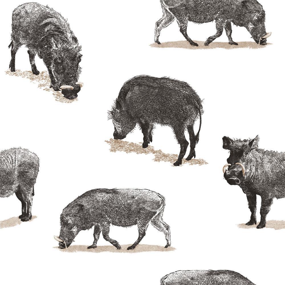 De Afrikaanse varkenspest: moeten we de jacht op everzwijnen wel opvoeren?