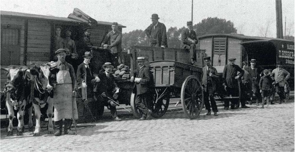 Aankomst van een voedseltransport vanuit Nederland voor de bevolking van Brugge en de omliggende gemeenten, Dudzeelse Steen weg, 9-8-1917.