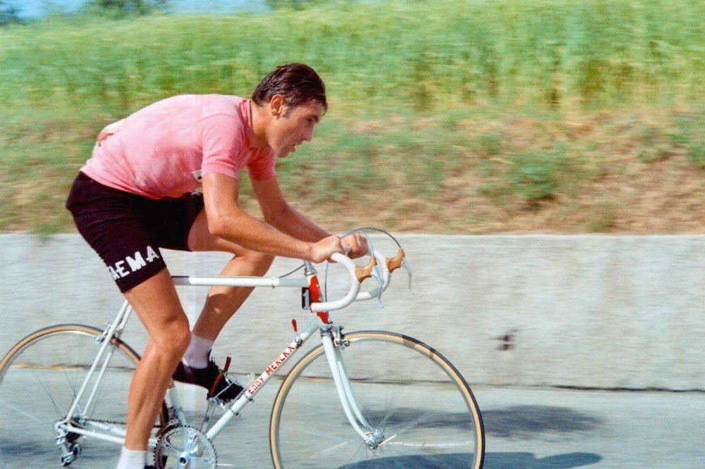 Eddy Merckx won vijf keer de Giro en droeg 79 dagen de roze trui. 