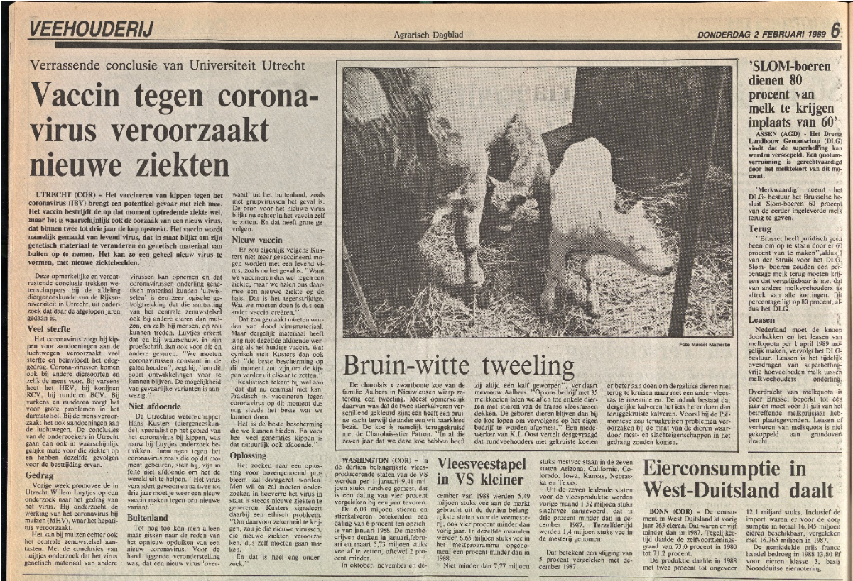 Factcheck: Nee, dit krantenartikel uit 1989 gaat niet over covid-19 maar over coronavirus bij kippen