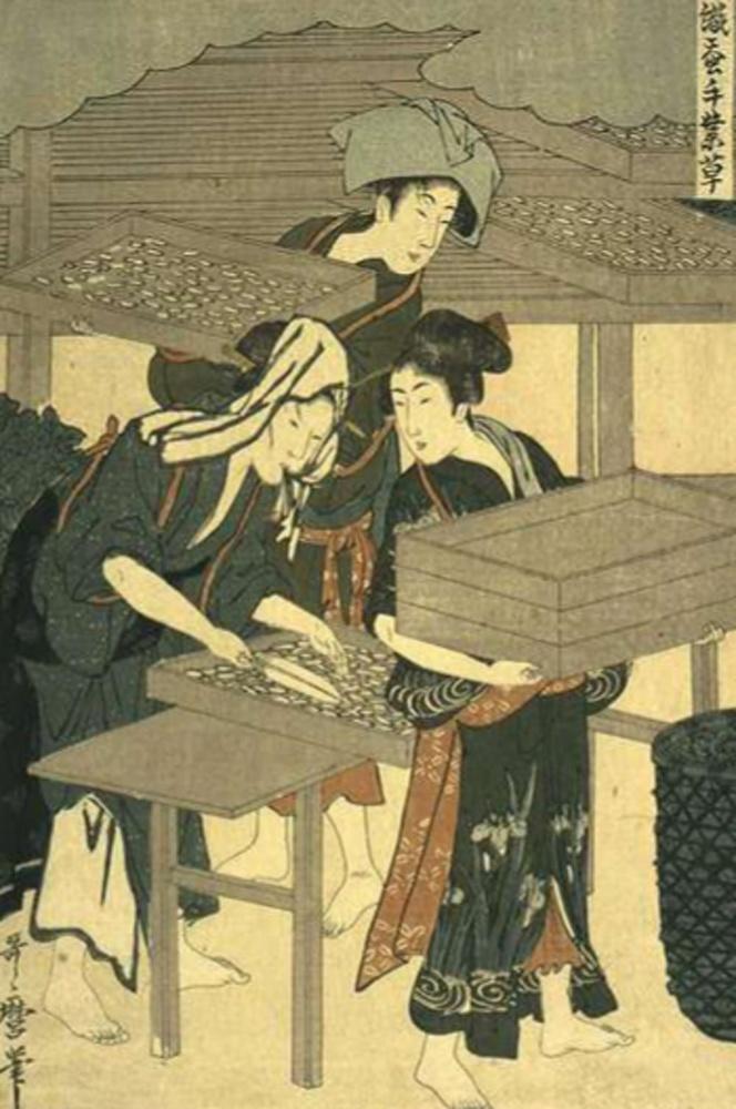 Prent van Kitagawa Utamaro, waarop zijderupsen in dozen worden geplaatst, inspiratiebron voor de schets De zijdewormen van Couperus.