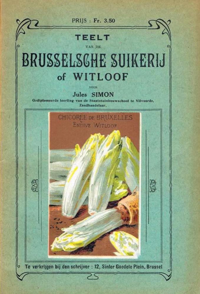 Beschrijving van de witlofteelt uit 1925 door Jules Simon, wonende Sinter Goedeleplein 12 te Brussel. Het Franse woord chicorei is als 'suikerij' wel mooi 'vervlaamst'.