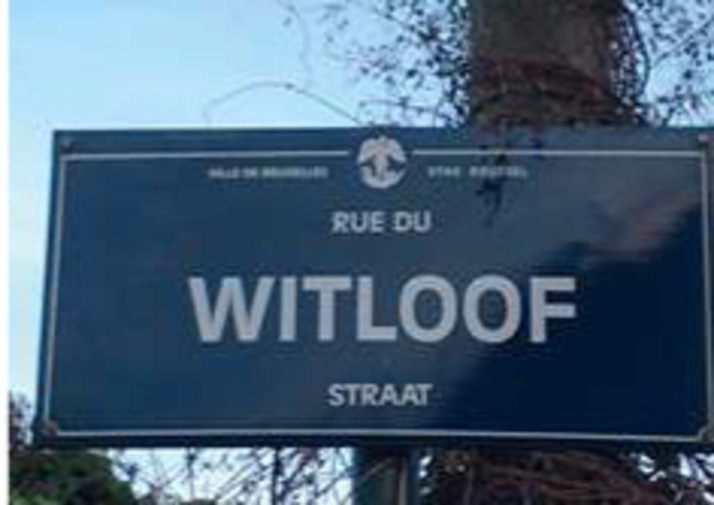 De Witloofstraat in het Brusselse Haren herinnert aan de vroegere glorie.