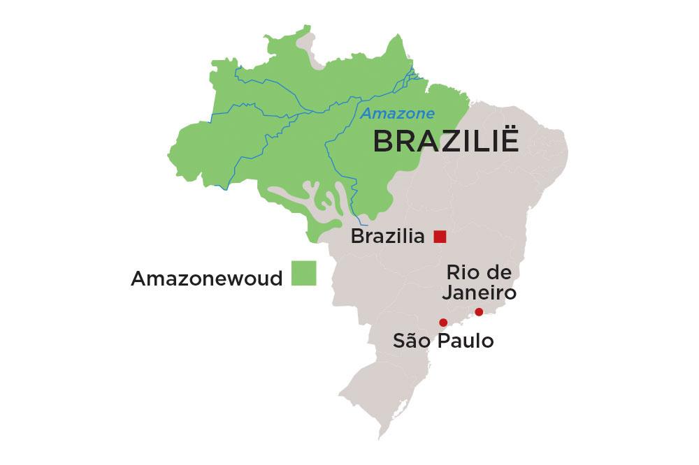 Amazonewoud: kan de wereld ingrijpen tegen president Bolsonaro?