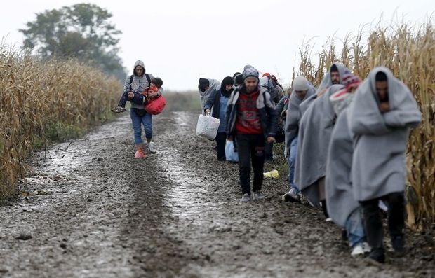 Migranten aan de grens tussen Servië en Kroatië