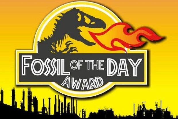 Fossil of the Day Award