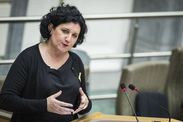 Vlaams minister van Energie Annemie Turtelboom (Open Vld).