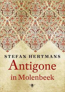 'Antigone in Molenbeek' van Stefan Hertmans: 'Een dode terrorist, een dode broer'