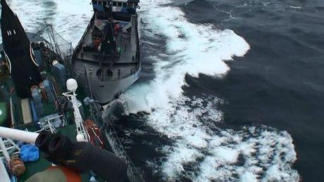 Sea Shepherd in actie 