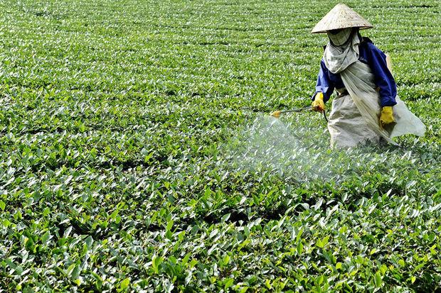 Pesticiden komen vooral voor in de landbouw.