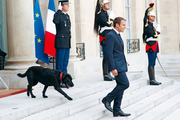 Macron op de trappen van het elysée. 'Frankrijk is een oud land, waarin de geest van de monarchie nog altijd leeft.'