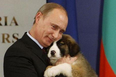Poetin knuffelt puppy 