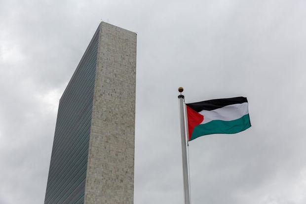 De Palestijnse vlag in New York