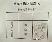 Op Weichin/Weibo verschenen: Veel Chinezen kozen voor Trump of Gestoofde Kip bij de verkiezingen. 