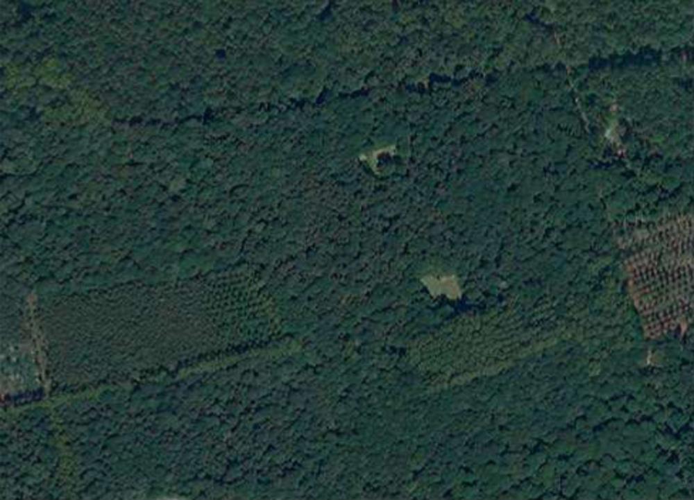 Een hedendaagse luchtfoto van Ploegsteert Bos (GDI-Vlaanderen) en de Lidar-visualisatie van dezelfde locatie (GDI-Vlaanderen). Duidelijk herkenbaar zijn de sporen van honderden granaattrechters (donkere vlekjes) en honderden meter aan bewaarde loopgraven (donkere golvende lijnen).