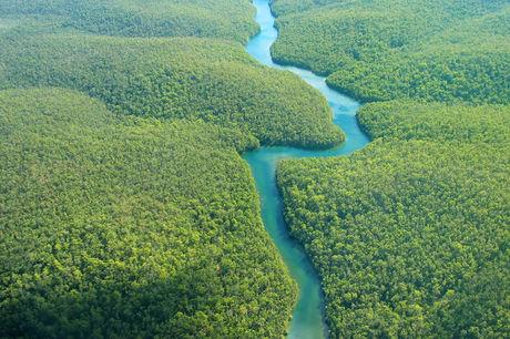 Het Amazoneregenwoud: de long van de wereld