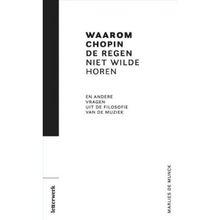Waarom Chopin de regen niet wilde horen en andere vragen uit de filosofie van de muziek