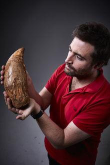 Vijf miljoen jaar oude walvistand gevonden in Australië