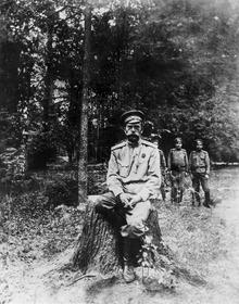 Tsaar Nicolaas II wordt gearresteerd en staat na zijn troonsafstand in maart 1917 onder huisarrest in Tsarskoye Selo.