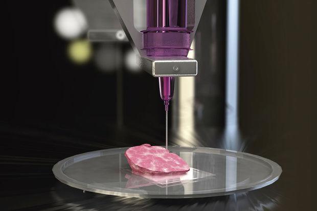 3D-printen. Nieuwe organen zullen worden gemaakt met cellen van de patiënt zelf, wat afstotingsverschijnselen zal beperken.