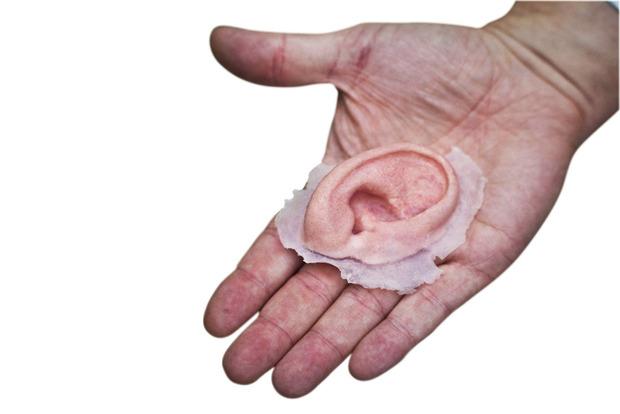 3D-print van een oor. Onderzoekers willen nog iets te veel de natuur nabootsen, terwijl het erom gaat cellen te laten fungeren als een weefsel of een orgaan.'