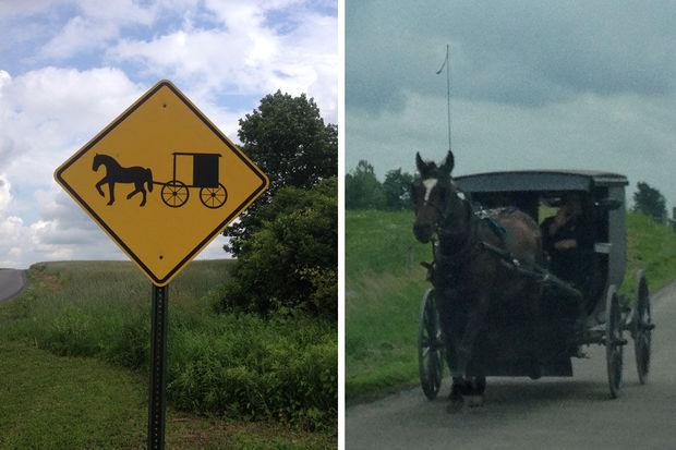 'De Amish kijken geërgerd wanneer ik er niet in slaag om onopvallend een foto te nemen'