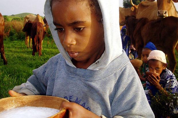 Een jongen van de etnische Mbororo met een kop melk in Bamenda, het noordwesten van Kameroen, 6 juni 2005.