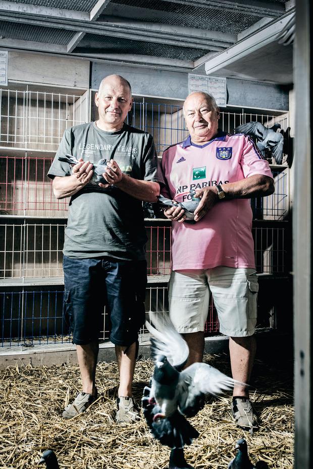 Freddy en Jacques Vandenheede noemen de duivensport een uit de hand gelopen hobby.