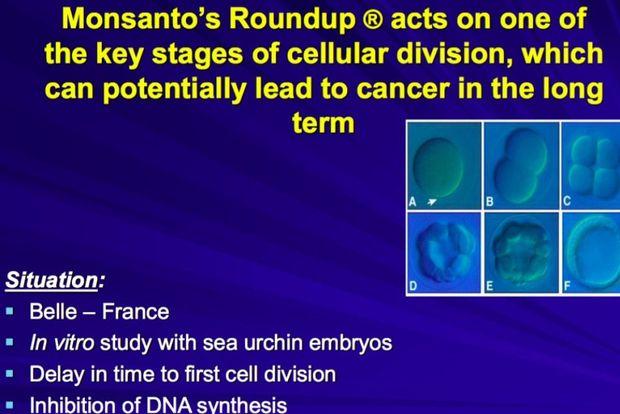De Powerpoint die Monsanto liever geheim wilde houden