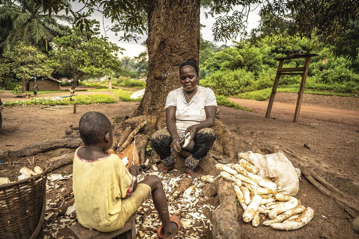 Aux abords de la forêt, une mère de famille prépare du manioc, tubercule le plus consommé dans le pays et incontournable accompagnement des chenilles grillées.