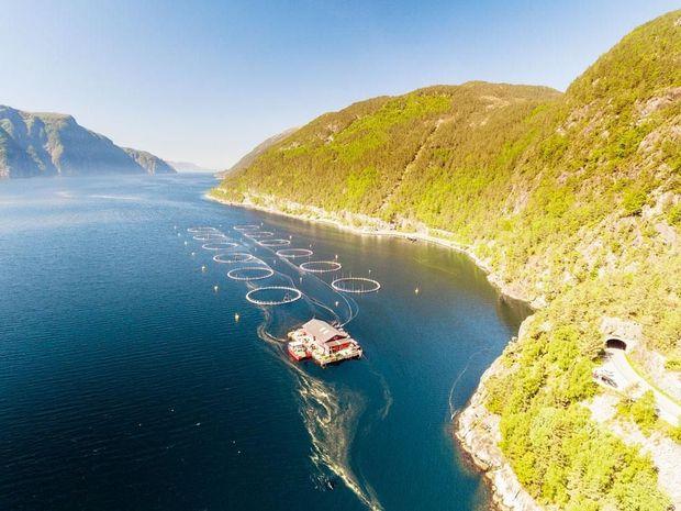Photo of Fish Farm in Norway. Blue sea and mountains with vegetation. Aerial shot. View from above.