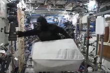 Gare au gorille de l'espace