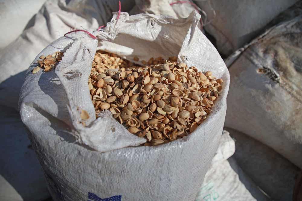 En Syrie, des poêles aux écorces de pistache pour lutter contre le froid (en images)