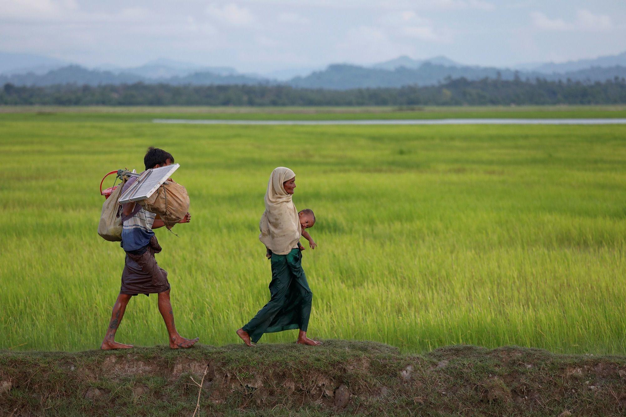 Rohingya refugees who fled from Myanmar make their way through the rice field after crossing the border in Palang Khali, Bangladesh October 9, 2017. REUTERS/Damir Sagolj - RC13A1FAEBD0