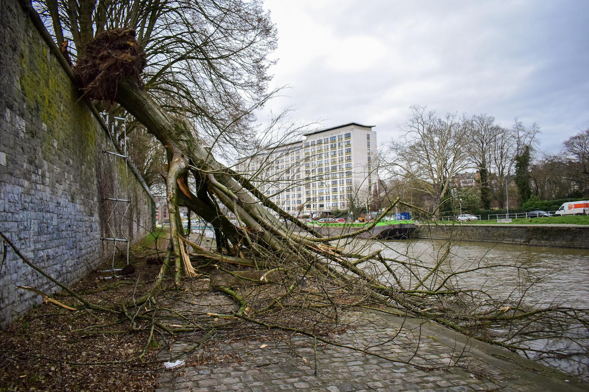 La tempête Ciara n'épargne pas la Belgique: les principaux dégâts