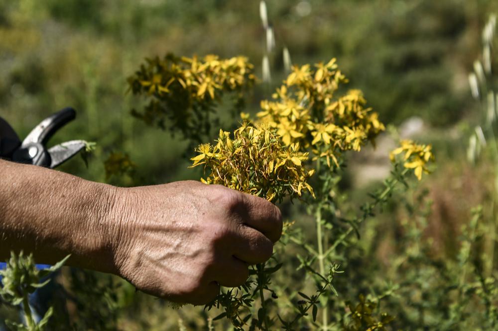 Dans le golfe de Corinthe, d'autres façons de 