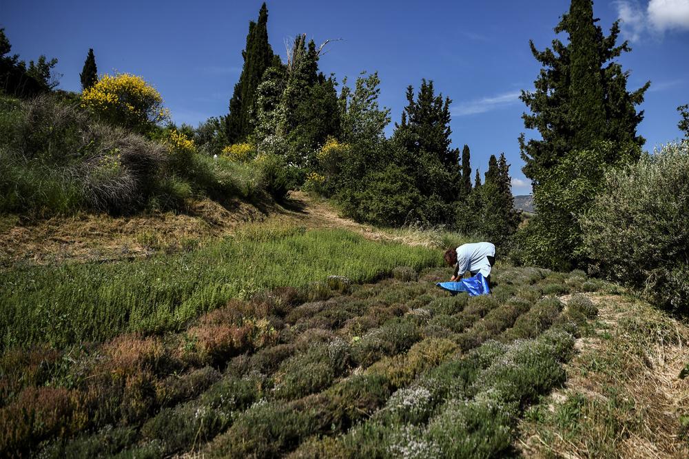 Dans le golfe de Corinthe, d'autres façons de 