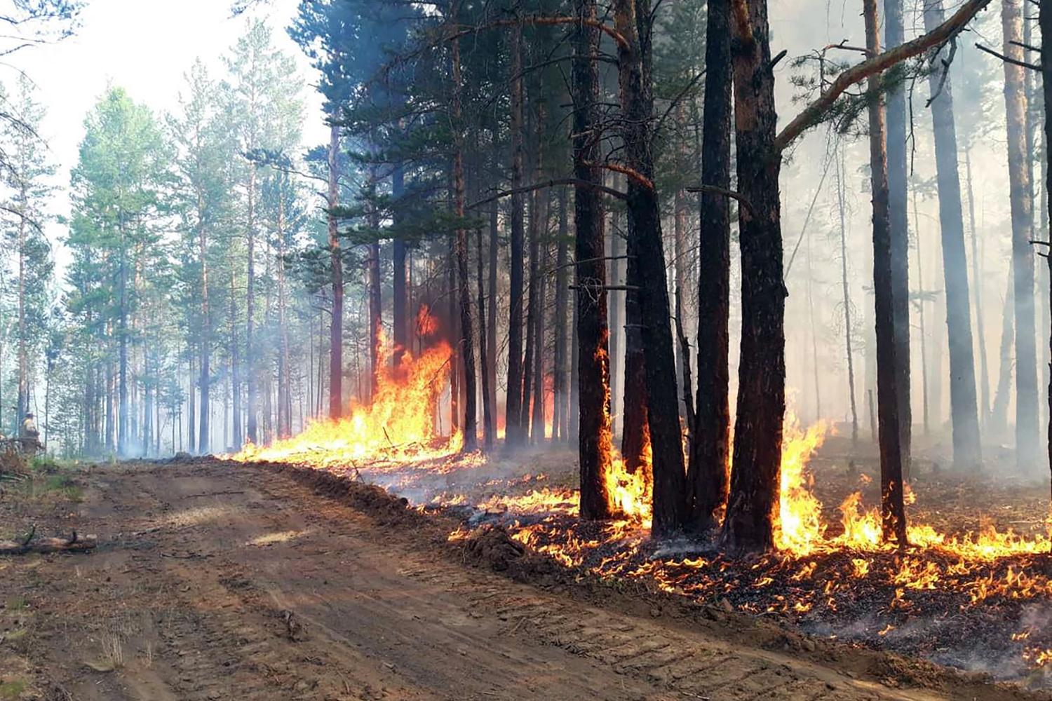 Feu de forêt à Buryat en Sibérie, le 10 juillet 2020