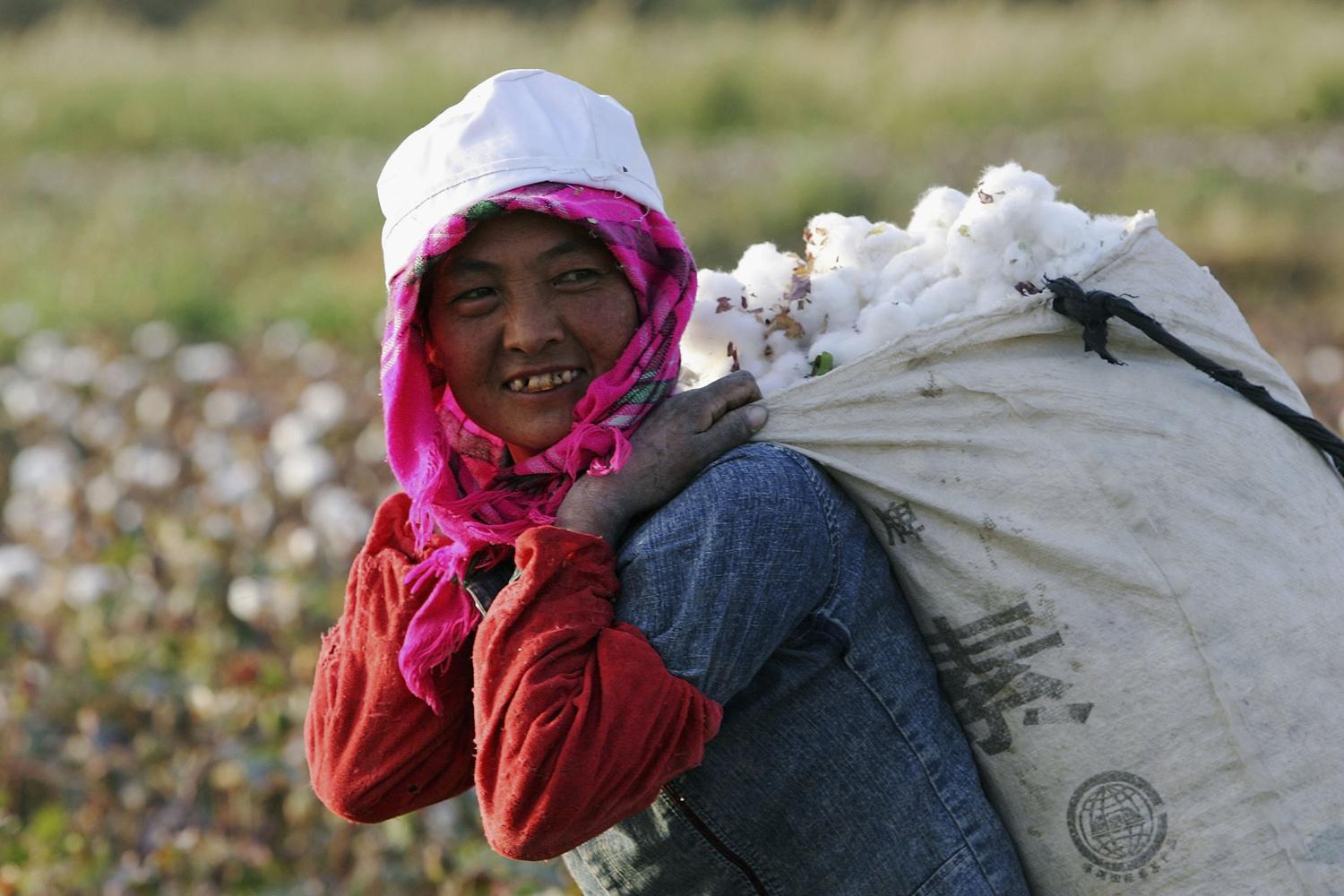 Travailleuse ouïghour dans les champs de coton de la province de Xinjiang, en Chine