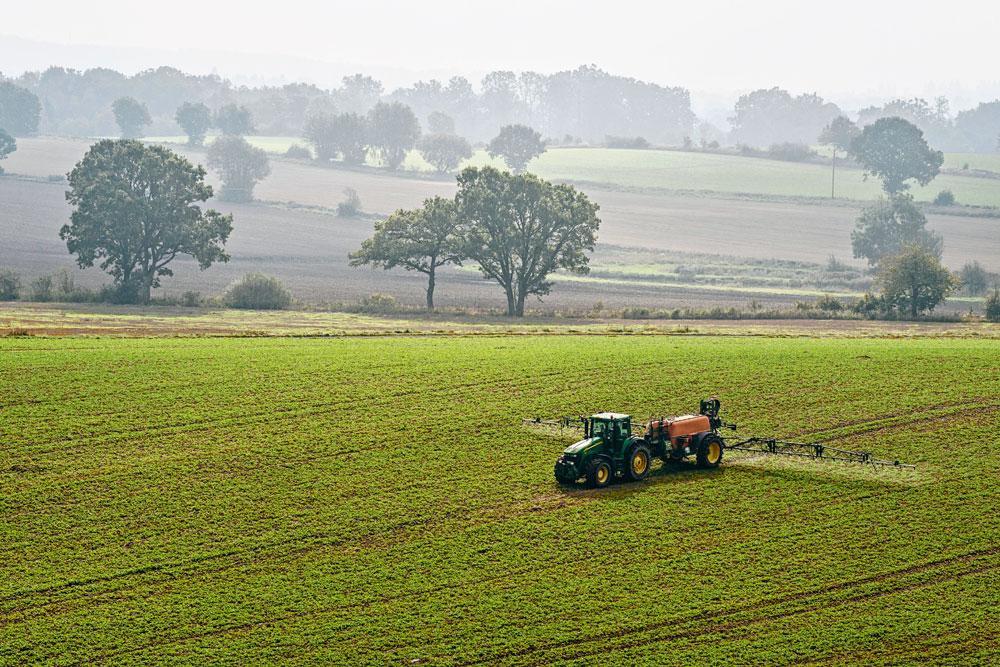 Dans nos régions, nos champs s'appauvrissent en parcelles industrielles où ne pousse plus qu'une seule variété végétale, sans autre trace de vie. C'est vert, mais ce n'est plus la nature. Toute diversité a été éliminée.