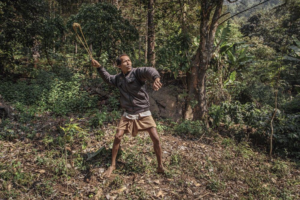 Un agriculteur utilise son lance-pierres  pour chasser les singes, qui chapardent  les baies de caféier.