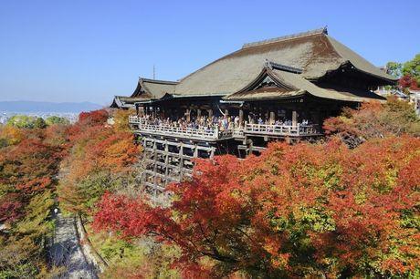 Kyoto: naar het zuivere land